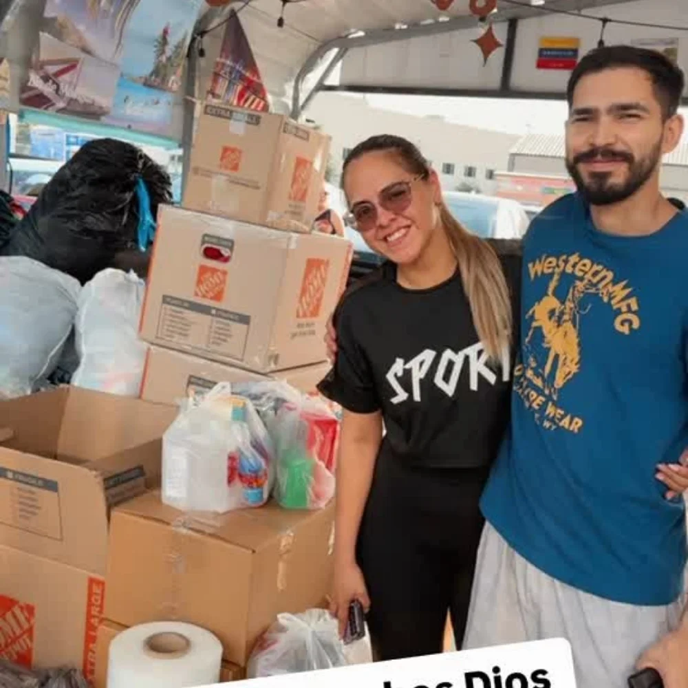 Actividad de acopio 29